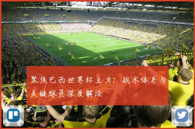 聚焦巴西世界杯主力:战术体系与关键球员深度解读